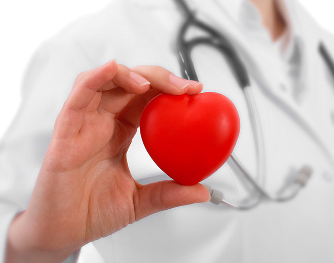 Healthcare provider holding red heart icon