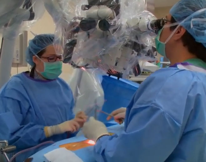 Surgical team performing procedure with microscope