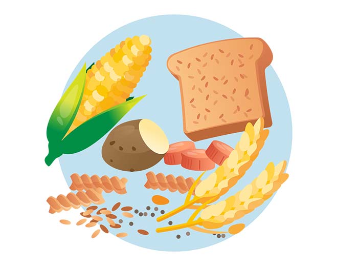 Ilustración de alimentos ricos en fibra