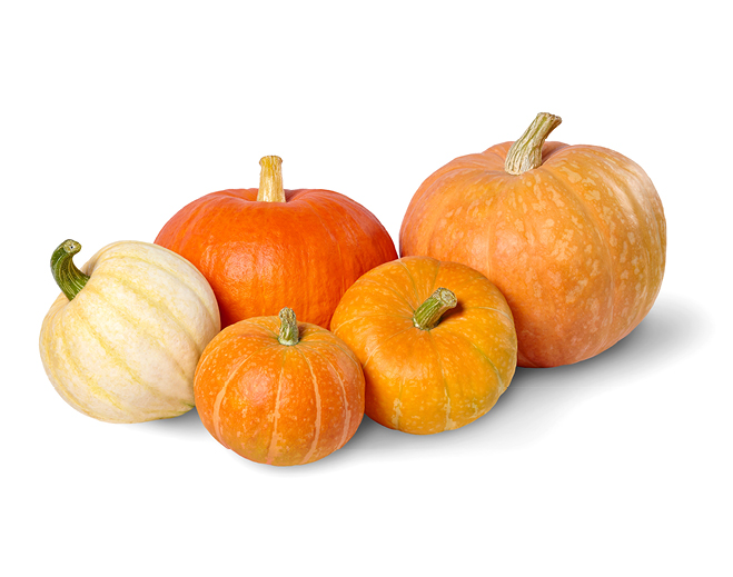 Calabazas de diferentes tamaños y colores