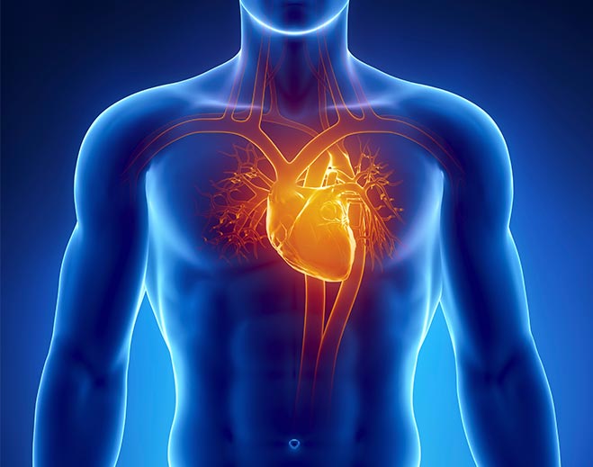 cardiología-cuerpo-humano-dolor-torácico-cardíaco