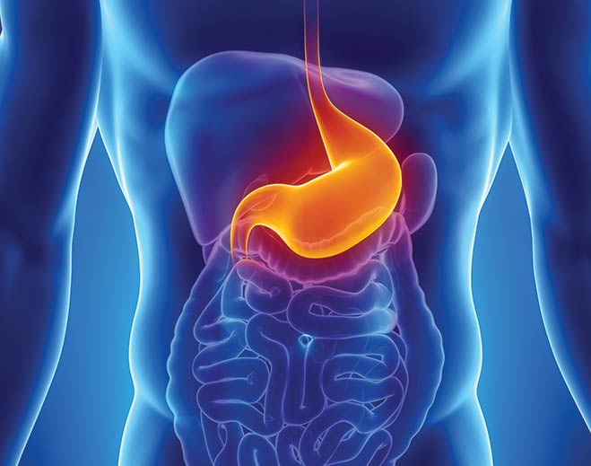 gastroenterology-digestive-stomach-pain