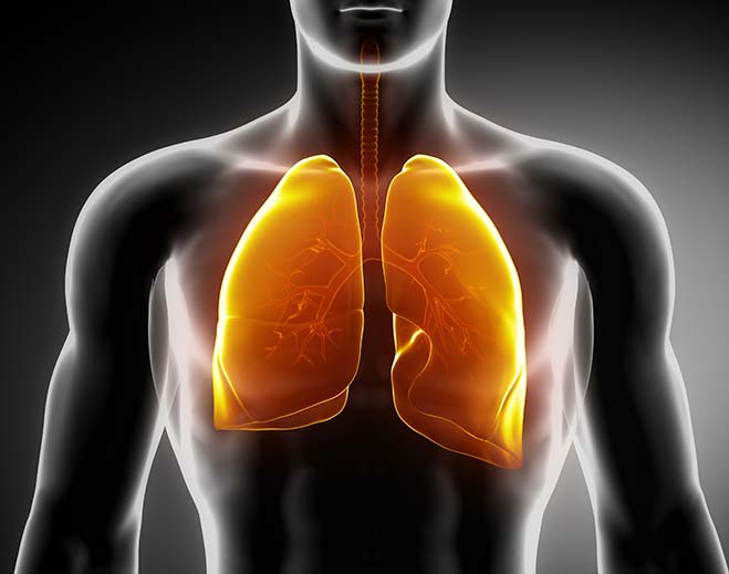respiratorio-pulmonar-pres